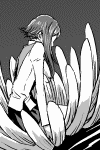060504a.gif