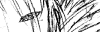 060504a.gif