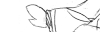 060518b.gif